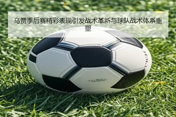 img_1781287754488_980_1_156.jpg